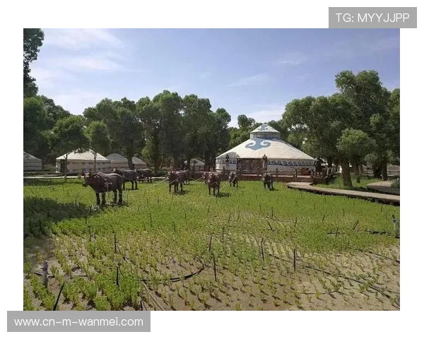 巴彦海尔汗队蒙古球员参赛推动民族传统与篮球文化创新融合发展